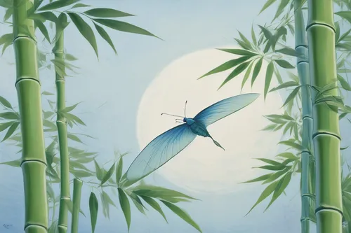 hawaii bamboo,bamboo,oriental painting,dragonflies and damseflies,studio ghibli,flying seed,bamboo forest,bamboo plants,flying insect,dragonflies,banded demoiselle,winged insect,chinese art,flying seeds,lepidopterist,zongzi,tropical bird climber,lemongrass,humming bird moth,luo han guo,Conceptual Art,Fantasy,Fantasy 07
