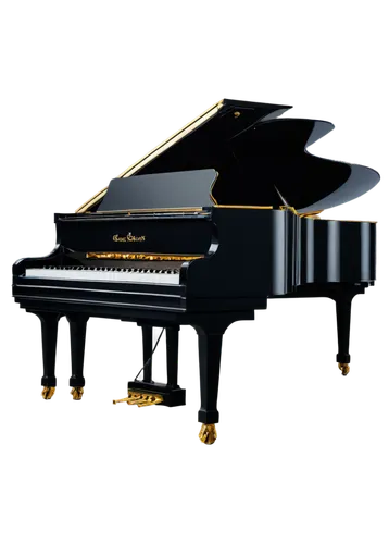 grand piano,steinway,play piano,steinways,bosendorfer,derivable,piano keyboard,piano,pianoforte,the piano,carpianum,3d model,bechstein,3d render,clavinet,pianola,boesendorfer,pianistic,pianist,concerto for piano,Photography,Documentary Photography,Documentary Photography 06