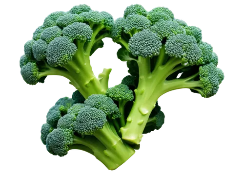 brocoli broccolli,broccolini,broccoli,cruciferous,brassica,brassicaceae,brocco,rapini,verduras,juglandaceae,brassicae,houseleek,brassicas,vegetable,vegetal,green dragon vegetable,veg,frozen vegetables,sulforaphane,mandelbrot,Conceptual Art,Sci-Fi,Sci-Fi 21