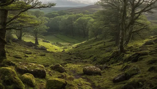 Uncover the hidden treasures of a haunted high moor.,trossachs national park - dunblane,lake district,peak district,scottish highlands,brecon beacons,forest of dean,mountain pasture,highlands,valley o