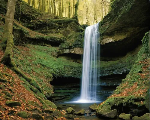 brown waterfall,bridal veil fall,ash falls,wasserfall,falls of the cliff,cascades,water falls,green waterfall,creux du van,fairyland canyon,derbyshire,natural park,water fall,a small waterfall,bridal veil,united states national park,the national park,natural arch,national park,cascading,Illustration,Realistic Fantasy,Realistic Fantasy 14