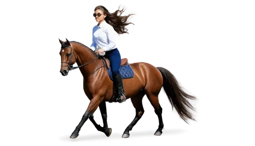 horsewoman,equestrian,dressage,equitation,saddlebred,equestrian sport,horseriding,gaited,horsemanship,equestrianism,standardbred,kiberlain,aqha,horseback riding,horseback,arabian horse,cuirassier,eventer,galop,horse riders,Illustration,Realistic Fantasy,Realistic Fantasy 11