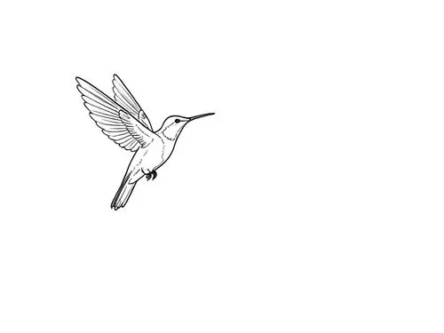 dove of peace,bird drawing,peace dove,fairy tern,crane bird flying,bird illustration,Design Sketch,Design Sketch,Rough Outline