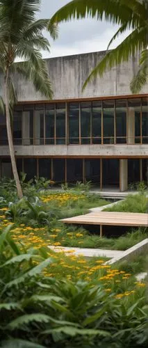 Architecture school, Sri Lanka, modern building, glass facade, steel structure, tropical climate, green roof, wooden accents, natural lighting, open spaces, collaborative learning, students sitting, l