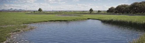 an image of a river flowing down the middle of a grass covered field,acequia,maribyrnong,riverlands,landscape designers sydney,water channel,riparian