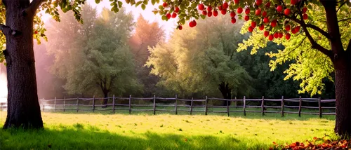 Apple trees, autumn season, ripe apples hanging from branches, green leaves, rustic wooden fences, afternoon sunlight filtering through leaves, warm color tone, shallow depth of field, 3/4 composition