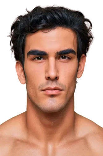 rhinoplasty,derivable,theodorou,juvederm,microdermabrasion,dermagraft,gynecomastia,androgen,male elf,antinous,image manipulation,narciso,mousasi,sternocleidomastoid,depigmentation,male character,procollagen,portrait background,hyperpigmentation,nudelman,Illustration,Abstract Fantasy,Abstract Fantasy 04