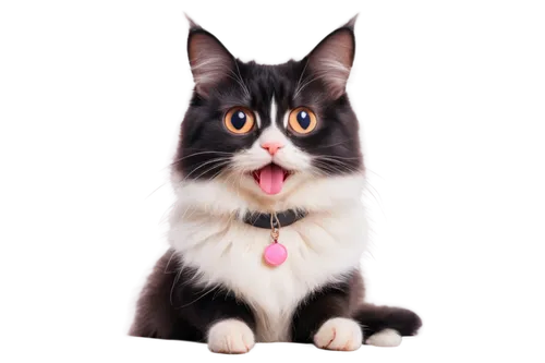 cat tongue,pet vitamins & supplements,cat vector,funny cat,cat image,cat nose,cartoon cat,cute cat,cat,japanese bobtail,breed cat,domestic long-haired cat,british longhair cat,cat portrait,calico cat,cat cartoon,cat face,cat frame,emogi,meowing,Photography,General,Fantasy