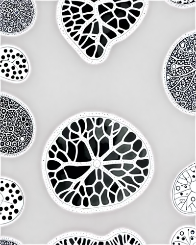 fruit pattern,radiolarians,trypophobia,marimekko,apple pattern,lemon pattern,diatoms,espalier,latticework,umbrella pattern,dot pattern,coccoliths,lattices,photograms,mandala background,grapevines,biomimicry,zoospores,ferrofluid,xylem,Illustration,Black and White,Black and White 11