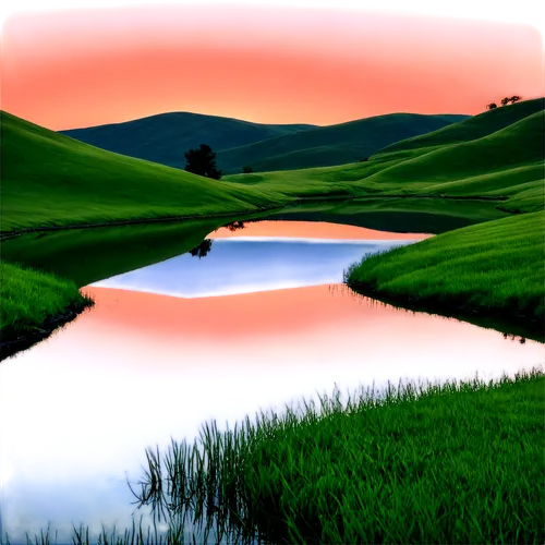 virtual landscape,waterscape,wetlands,marshland,ricefields,evening lake,swampy landscape,landscape background,salt meadow landscape,river landscape,marshlands,ricefield,wetland,purple landscape,water scape,pond,waterbody,palouse,acid lake,small landscape,Illustration,Black and White,Black and White 12