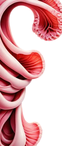 microcirculation,coral swirl,chrysanthemum background,angiogenesis,epididymis,arteriole,coronary vascular,neovascularization,membranacea,polyps,biomorphic,papillae,hypercholesterolemia,spiral background,mushroom coral,rmuscles,vasculature,arteriovenous,fibrocartilage,pericytes,Illustration,Retro,Retro 24