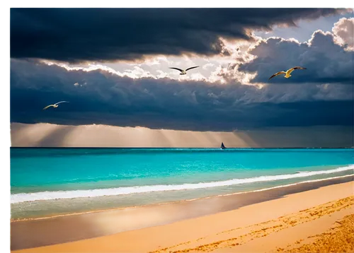 caribbean sea,caribbean beach,storm ray,caribbean,barbados,the caribbean,sunbeams protruding through clouds,cuba beach,beautiful beaches,storm clouds,beach landscape,varadero,beautiful beach,dream beach,punta-cana,bahamas,beach scenery,sunrise beach,shipwreck beach,bermuda,Conceptual Art,Fantasy,Fantasy 09