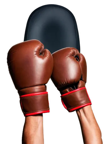 boxing equipment,boxing gloves,boxing glove,striking combat sports,combat sport,kickboxing,muay thai,boxing,shoot boxing,professional boxing,punching bag,boxing ring,sanshou,savate,lethwei,the hand of the boxer,marine corps martial arts program,professional boxer,sparring,fight,Illustration,American Style,American Style 10