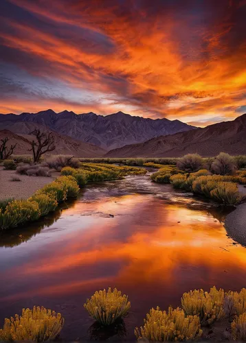 great dunes national park,mojave desert,valley of fire,desert desert landscape,desert landscape,mojave,united states national park,valley of fire state park,snake river,the atacama desert,joshua tree national park,flowing creek,rio grande river,mesquite flats,flaming mountains,landscape photography,dry lake,braided river,nevada,death valley,Photography,Documentary Photography,Documentary Photography 31