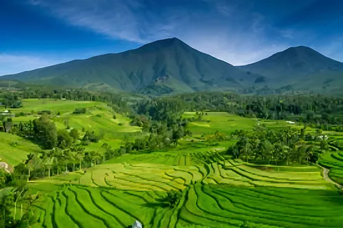 rice terrace,semeru,rice terraces,pura mandara giri semeru agung,rice field,rice fields