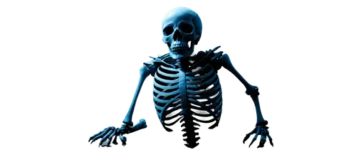 skeletal,human skeleton,skeleton,vintage skeleton,skelemani,skelly,mermaid skeleton,skeleltt,osteoporotic,skeletal structure,endoskeleton,boneparth,spook,skeletons,calcium,spookily,xray,osteoporosis,skelton,skeletonized,Illustration,Children,Children 06