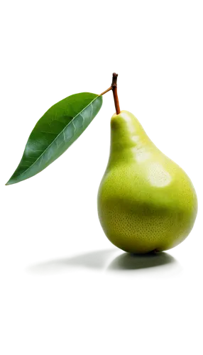 pear cognition,pear,lemon background,pears,mandora,rock pear,golden apple,starfruit,bell apple,green apple,bulbous plant,carambola,resprout,peary,water apple,poire,avacado,worm apple,limerent,lemon wallpaper,Conceptual Art,Oil color,Oil Color 18