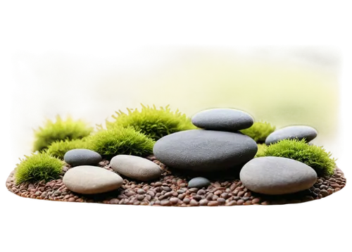 massage stones,naturopathy,zen stones,zen garden,balanced pebbles,japanese zen garden,japanese garden ornament,zen rocks,landscape designers sydney,artificial grass,gravel stones,balanced boulder,moss saxifrage,stacking stones,perennial plants,liverwort,natural stones,smooth stones,healing stone,background with stones,Conceptual Art,Sci-Fi,Sci-Fi 02