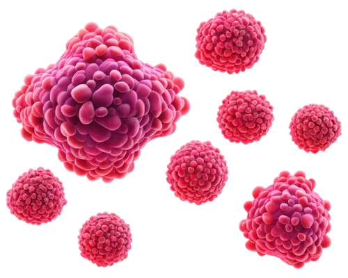 polyomavirus,cytomegalovirus,cryptosporidiosis,spherules,lyssavirus,norovirus,adenovirus,herpesviruses,reovirus,arenavirus,coronavirus,enterovirus,meningococcus,rotavirus,azotobacter,rhinoviruses,flavivirus,streptococcus,rhinovirus,ebolavirus,Illustration,Paper based,Paper Based 02