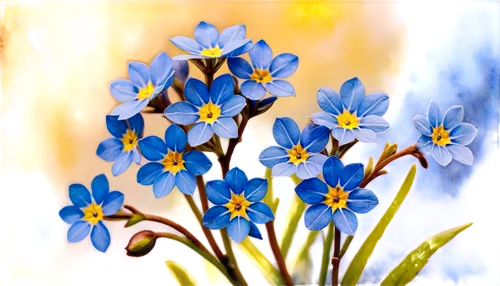 Forget-me-not flowers, delicate petals, blue and yellow colors, intricate details, slender stems, leaves with subtle veins, morning dew, soft natural lighting, 3/4 composition, shallow depth of field,