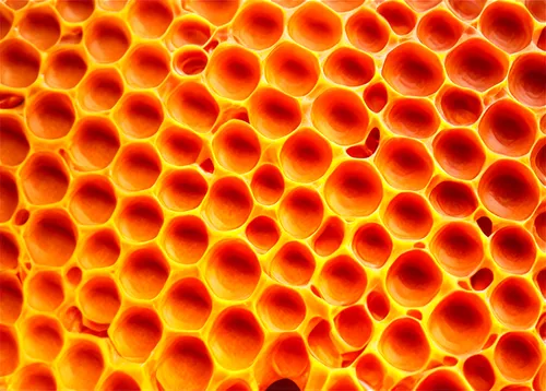 honeycomb structure,building honeycomb,trypophobia,honeycomb grid,candy corn pattern,honeycomb stone,honeycombs,pollen warehousing,dot pattern,nanomaterial,coral,fruit pattern,biofilm,orange dots,mammatus,voronoi,dot,beeswax,cheese holes,candy pattern,Illustration,Retro,Retro 01