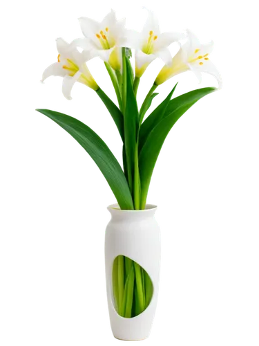 flowers png,tulip background,easter lilies,flower vase,flower background,jonquils,muguet,lily of the valley,flower illustrative,aspidistra,tulip white,lilies of the valley,freesias,jonquil,lilly of the valley,spring leaf background,lily of the field,spring background,madonna lily,daffyd,Conceptual Art,Fantasy,Fantasy 09