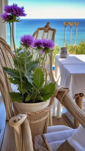 beach restaurant,outdoor dining,italy liguria,tropea,patio furniture,outdoor table and chairs,mediterranean cuisine,garden furniture,fine dining restaurant,bistrot,sicilian cuisine,greece,provence,gre