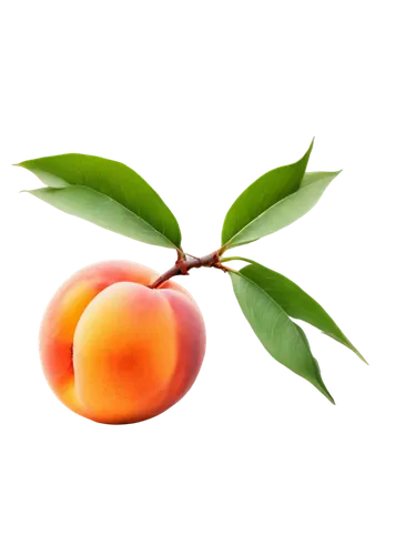 apricot,apricots,kumquat,tangerine tree,peach flower,nectarine,guava,nectarines,peach tree,tangerines,psidium,peaches,syzygium,peach color,peach,persimmon,orange fruit,tangerine fruits,growing mandarin tree,tangerine,Illustration,Realistic Fantasy,Realistic Fantasy 45