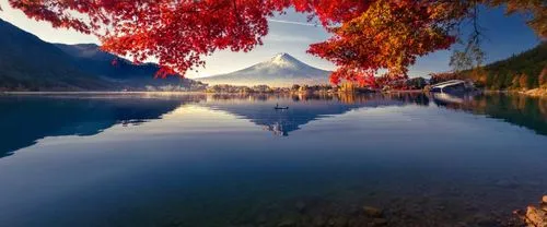 bled,autumn mountains,bernese oberland,beautiful landscape,beautiful lake,bow lake