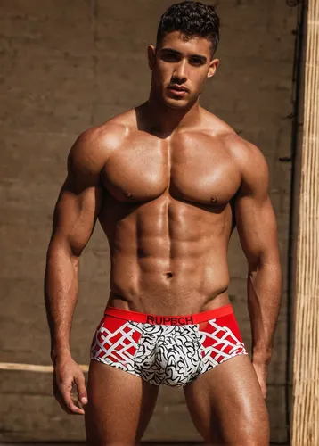 swim brief,latino,austin stirling,body building,ryan navion,male model,bodybuilding,bodybuilder,panamanian balboa,two piece swimwear,itamar kazir,austin morris,gable,joe iurato,patterned,shredded,abdel rahman,rugby short,calves,jordan fields,Art,Classical Oil Painting,Classical Oil Painting 41