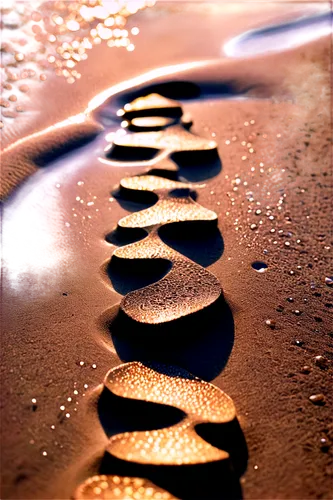 Footprints, barefoot, toes curled, natural texture, sandy beach, shallow water, sunlight reflection, morning dew, close-up, macro shot, 1/2 composition, soft focus, warm color tone, high contrast.,sev