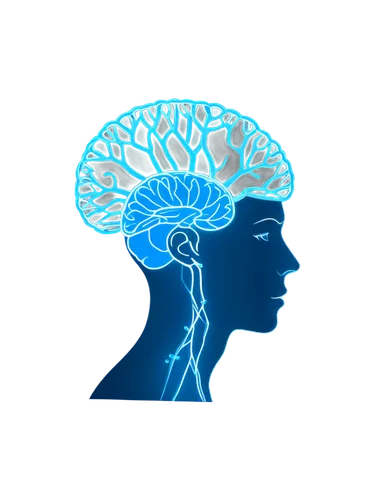 Side view, brain, solo, transparent background, detailed neurons, glowing blue lines, cerebral cortex, cerebellum, brainstem, realistic texture, soft focus, 3/4 composition, warm lighting, cinematic a