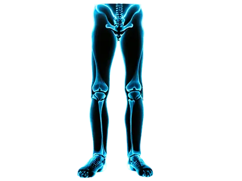 osteoarthritis,osteoporotic,osteocalcin,osteopathy,musculoskeletal,osteogenic,osteomalacia,osteopath,biomechanically,neuromuscular,osteopathic,orthopedics,osteopenia,osteomyelitis,hyperparathyroidism,tibialis,osteopontin,osteopaths,metatarsus,gastrocnemius,Art,Classical Oil Painting,Classical Oil Painting 24