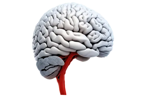 neurovascular,cerebrovascular,brain icon,neuromodulation,neuralgia,thalamocortical,neurodegenerative,encephalopathies,neurorehabilitation,neuromuscular,frontotemporal,thalamic,neurophysiological,encephalopathy,neuroprotection,neurosurgical,amygdala,cortical,brainlab,neurogenesis,Illustration,Abstract Fantasy,Abstract Fantasy 14