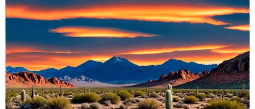 desert desert landscape,desert landscape,arid landscape,argentina desert,shiprock,flaming mountains,inyokern,atacama desert,mountain sunrise,argentine patagonia,desert background,volcanic landscape,toiyabe,landscape background,joshua trees,the atacama desert,owyhee,paisaje,andes,mojave desert,Conceptual Art,Daily,Daily 20