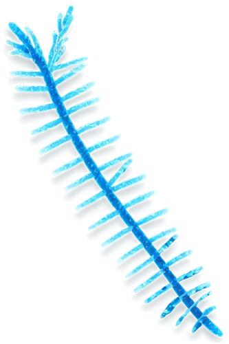 Chromosome, helix structure, double stranded DNA, nucleotides, colorful, glowing, transparent background, microscopic view, high magnification, 3D illustration, soft lighting, cinematic composition, v