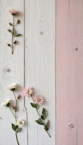 wood daisy background,flower wall en,wood and flowers,pink floral background,wood anemones,minimalist flowers,pink daisies,wooden background,floral digital background,paper flower background,flower background,wooden wall,efflorescence,japanese anemones,wooden shutters,vintage flowers,floral background,flowerbox,flower strips,dahlia pink,Photography,Documentary Photography,Documentary Photography 18