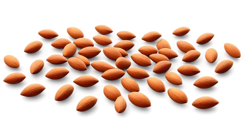 Brown almonds, scattered, solo, white background, detailed texture, natural lighting, shallow depth of field, warm color tone, 3/4 composition, close-up shot, HD rendering, realistic style.,softgel ca