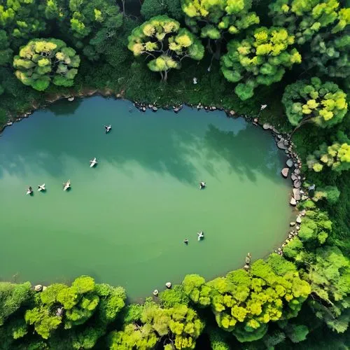 artificial islands,floating islands,floating over lake,volcanic lake,acid lake,a small lake,green water,lotus pond,mushroom island,floating island,lilly pond,crater lake,lily pond,eutrophication,duckweed,lily pads,volcanic crater,people fishing,pond,azolla,Photography,Documentary Photography,Documentary Photography 30