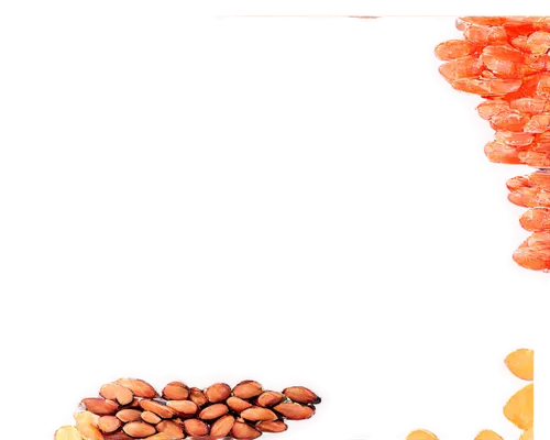 apolipoprotein,laetrile,coffee background,goji,unshelled almonds,lipoprotein,mycotoxins,almonds,almond nuts,cocoa beans,nucleoprotein,kernels,background with stones,microkernels,argan tree,nanomedicine,tetrodotoxin,aflatoxin,glycoprotein,polysorbate,Art,Classical Oil Painting,Classical Oil Painting 40