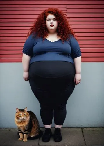 fat cat,obesity,obese,fat,red hair,big belly,Photography,Documentary Photography,Documentary Photography 04