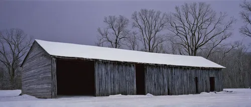 Discover the dark secrets hidden beneath the surface of the County Road Ice House. Can you unravel the truth before it's too late?,winter house,sheds,snow shelter,snow house,shed,old barn,log cabin,fi