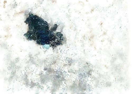 metop,butterfly isolated,isolated butterfly,leafminer,birdwing,amphibole,butterfly swimming,butterfly background,vulpeculae,strix nebulosa,checkerspot,cygnus,landsat,wolframite,comma,satellite imagery,vulpecula,venus surface,chameleon abstract,hindwing,Conceptual Art,Fantasy,Fantasy 34