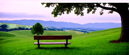 chair in field,landscape background,background view nature,bench,green landscape,park bench,greenspace,nature background,green meadow,benches,green space,wooden bench,bench chair,idyll,pirongia,man on a bench,red bench,green grass,green background,waihi,Illustration,Abstract Fantasy,Abstract Fantasy 10