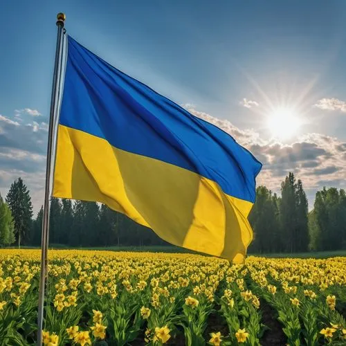 ensign of ukraine,i love ukraine,ukraine,eastern ukraine,ukrainian,ukraine uah,hd flag,country flag,flag,poland lemon,national flag,ukrainian levkoy,kiev,victory day,moldova,lithuania,snegovichok,puszta,spring background,flags,Photography,General,Realistic