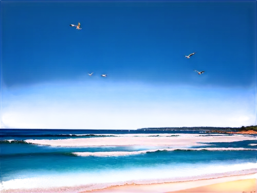 flying sea gulls,maroubra,bondi beach,sea gulls,seagulls,sea birds,cronulla,gulls,seagulls flock,birds in flight,sanderlings,seagulls birds,coolangatta,bondi,gaviotas,seabirds,birds flying,sandpipers,silver gulls,coogee,Photography,Artistic Photography,Artistic Photography 09