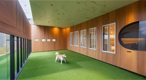 Dog playground. The floor is covered with grass and the ceiling has large glass windows that provide a view of the sky and clouds. There is a fence on the left wall and a window on the right wall. The