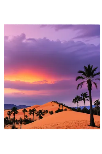 desert desert landscape,desert background,desert landscape,date palms,aqaba,desert,dubai desert,sahara desert,merzouga,maspalomas,capture desert,the desert,desert palm,landscape background,fuerteventura,golden sands,san dunes,the balearics,flowerful desert,palm tree vector,Illustration,Children,Children 06