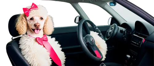 girl in car,chauffeur car,rideshare,car interior,woman in the car,ridesharing,hen limo,limousine,driving assistance,twingo,dog frame,animals play dress-up,female dog,subwoofers,lyft,carpooling,car rental,cheerful dog,car model,chauffeur,Illustration,Paper based,Paper Based 13