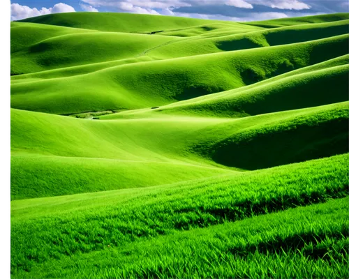 palouse,green landscape,green fields,dune landscape,green wallpaper,sand dunes,gobi desert,shifting dunes,colorado sand dunes,dunes,green grain,gras,windows wallpaper,castelluccio,namib,rolling hills,crescent dunes,green valley,the sand dunes,grasslands,Illustration,Retro,Retro 06